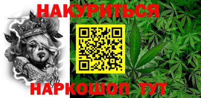трава Кандалакша
