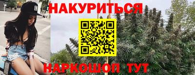 трава Кандалакша