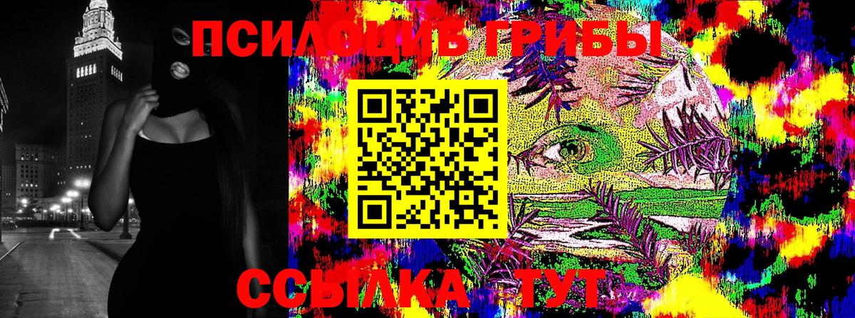 Псилоцибиновые грибы Psilocybine cubensis Краснодар